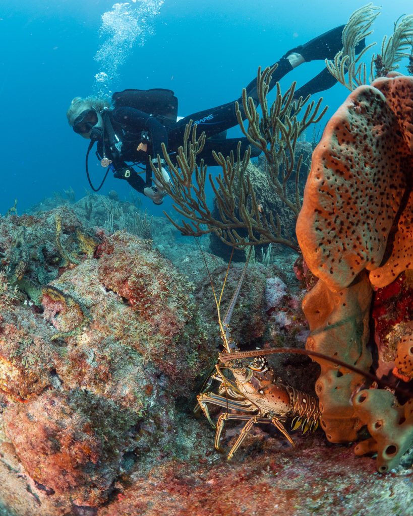 19 Underwater photo.jpg