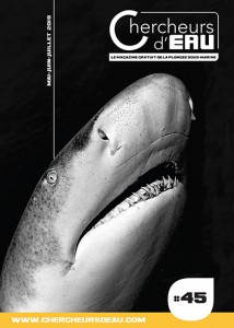 magazine plongée chercheurs d eau 45 requin shark