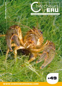 Magazine plongée sous marine 49