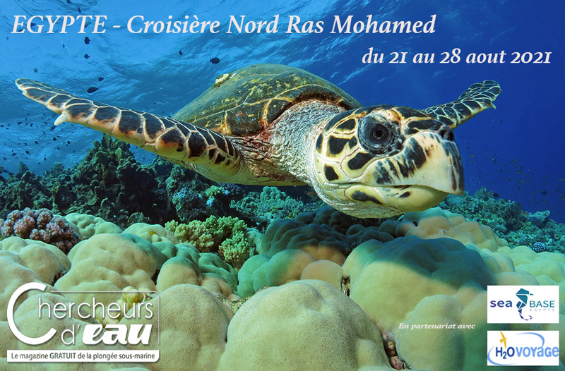 Egypte - croisiere Nord Ras Mohamed