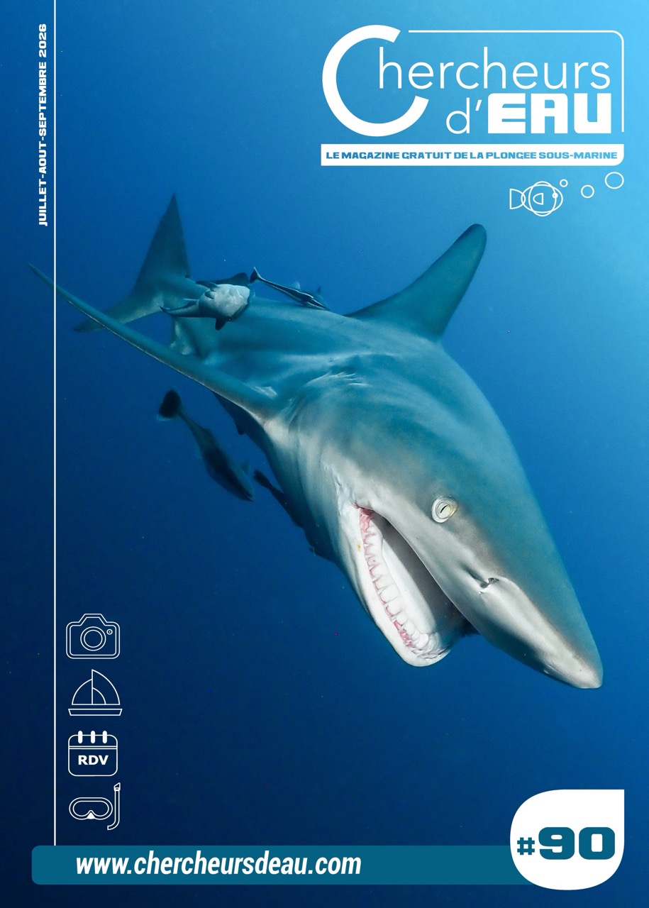 Couverture N°90
