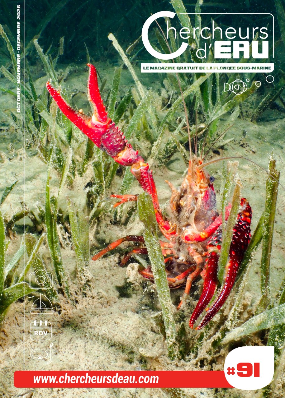 Couverture N°91