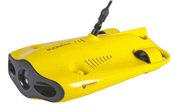 Gladius-Mini-2