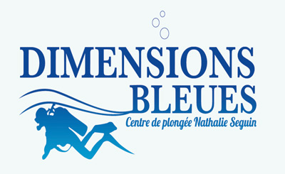 logo dimensions bleues
