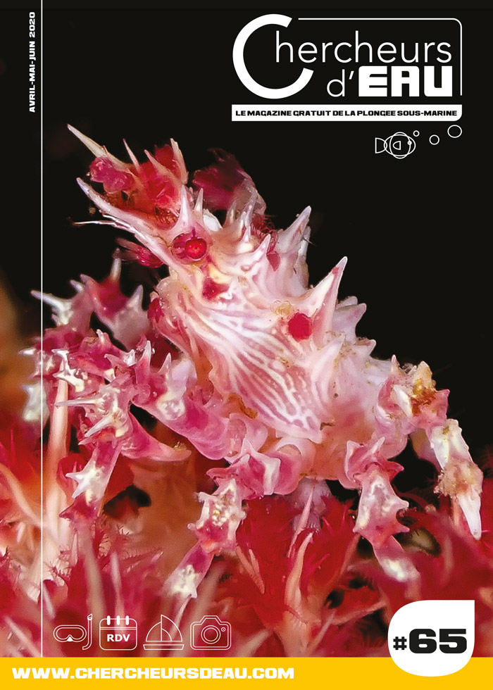 couverture du n65 du magazine de plongée sous-marine