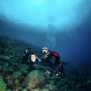 SeaLink 2 pour article