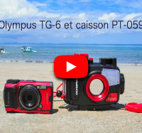 video test de l'olympus TG-6 et caisson PT