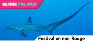 Festival en mer rouge