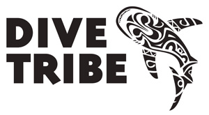 logo dive tribe